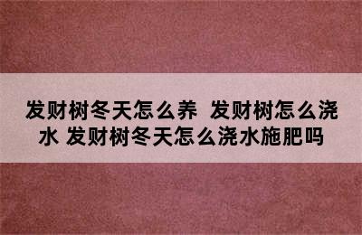 发财树冬天怎么养  发财树怎么浇水 发财树冬天怎么浇水施肥吗